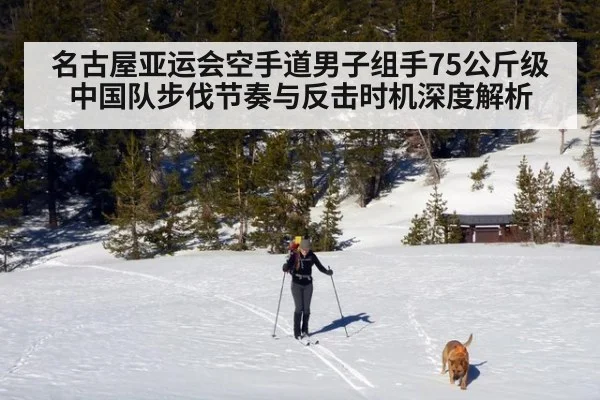 名古屋亚运会空手道男子组手75公斤级 中国队步伐节奏与反击时机深度解析