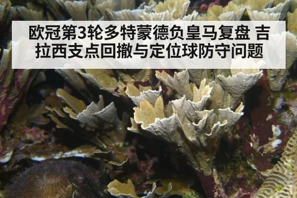 欧冠第3轮多特蒙德负皇马复盘 吉拉西支点回撤与定位球防守问题